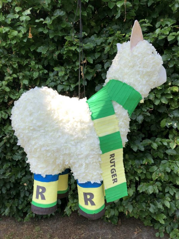 alpaca pinata, handgemaakt door Biba Pinata