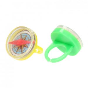 ring met mini kompas