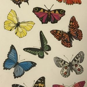 vlinder stickers, vulling voor in een pinata