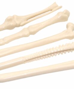 dinosaurusbot pen als pinatavulling