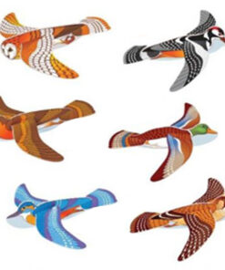 zweefvogel