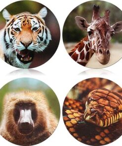 dieren stickertjes, vulcadeautje voor in een pinata