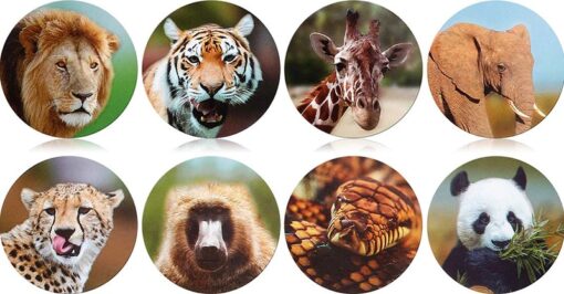dieren stickertjes, vulcadeautje voor in een pinata