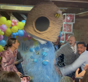 Gender reveal pinata bijenkorf XXL, handgemaakt door Biba Pinata