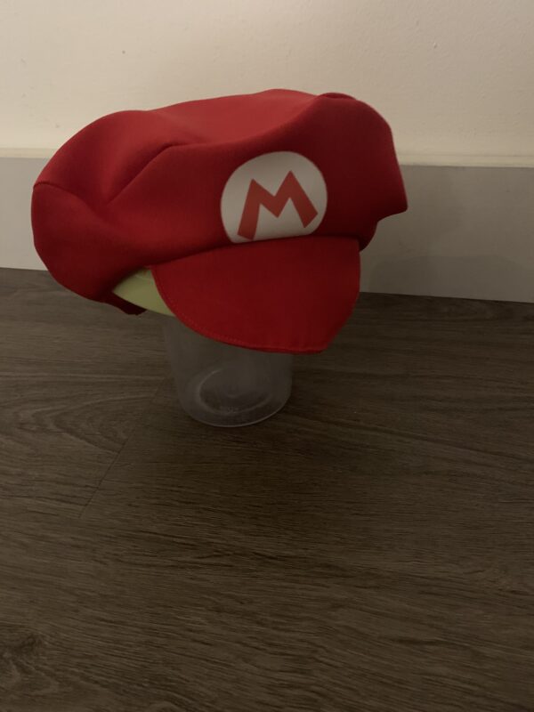 Super Mario pet
