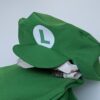 Luigi pet